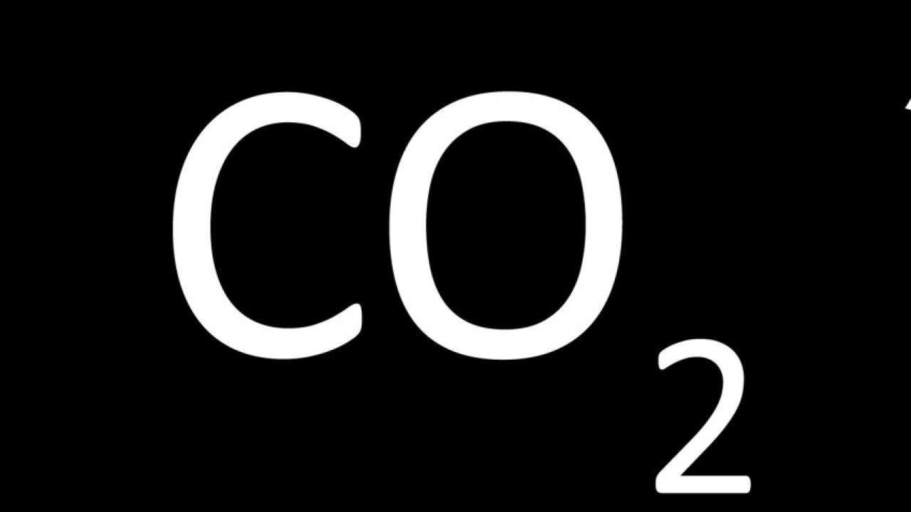 Rimozione CO2, gli effetti delle opzioni carbon-negative