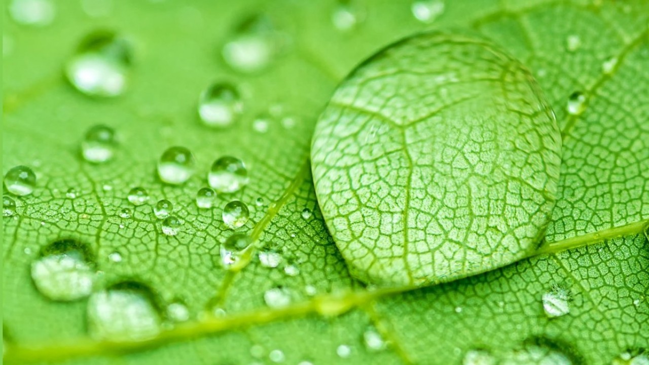 I dieci punti della Green Industrial Revolution di Boris Johnson