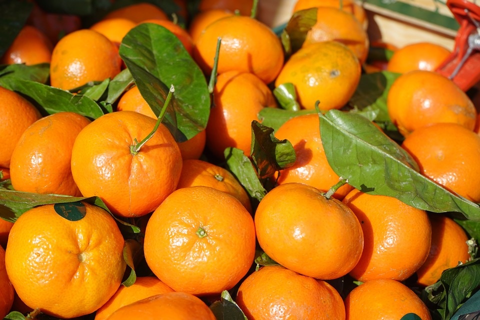 Inflazione: sale il carrello, da +5,5% frutta a +8,7% verdura