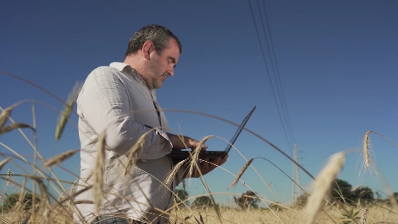 Dal campo al panificio: il 5G di Vodafone al servizio dell’agricoltura intelligente 
