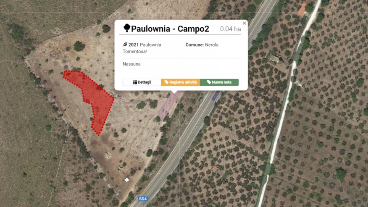 R1 Lease e 17tons avviano un comune progetto di sostenibilità: #19milakg