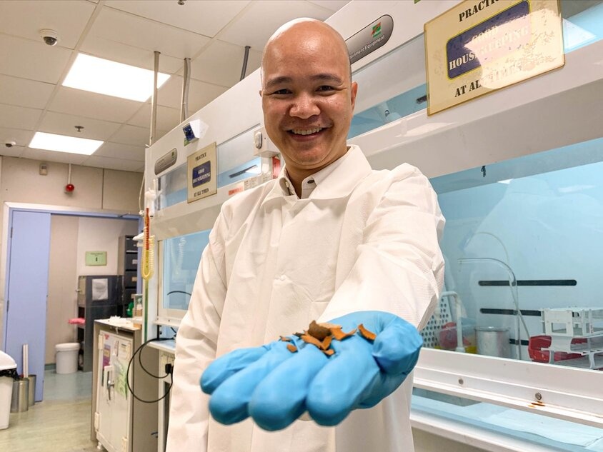 assistant professor (steve) cuong dang displaying pieces of tamarind shell  af810f97 5a3c 4d5d a1c0 81c3c7481049