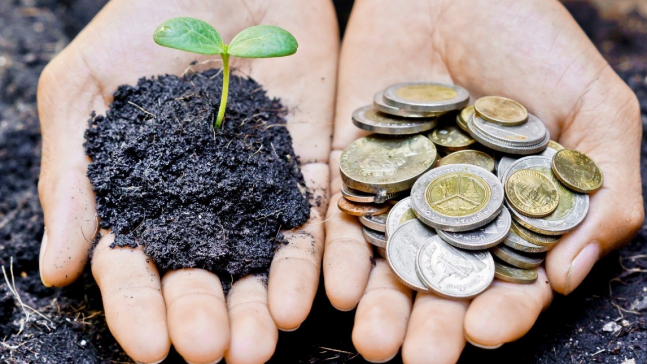 Responsabilità sociale e sostenibilità negli investimenti di TeamSystem Capital at Work SGR
