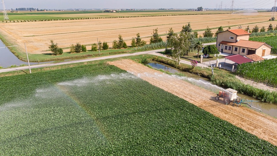 Veneto: in arrivo 11 milioni in più per imprese agricole e forestali
