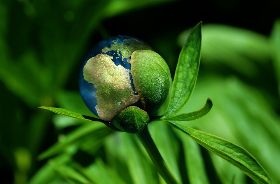 Sofidel: accordo con Meva Energy per nuovo impianto di generazione di bio-syngas