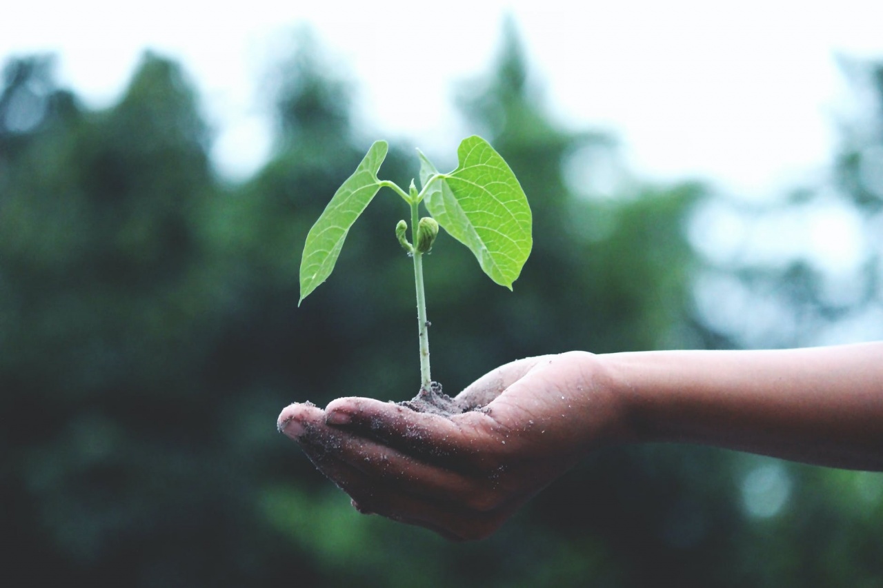 Edison e Snam insieme a Saipem e Alboran per il progetto green Hydrogen Valley in Puglia 