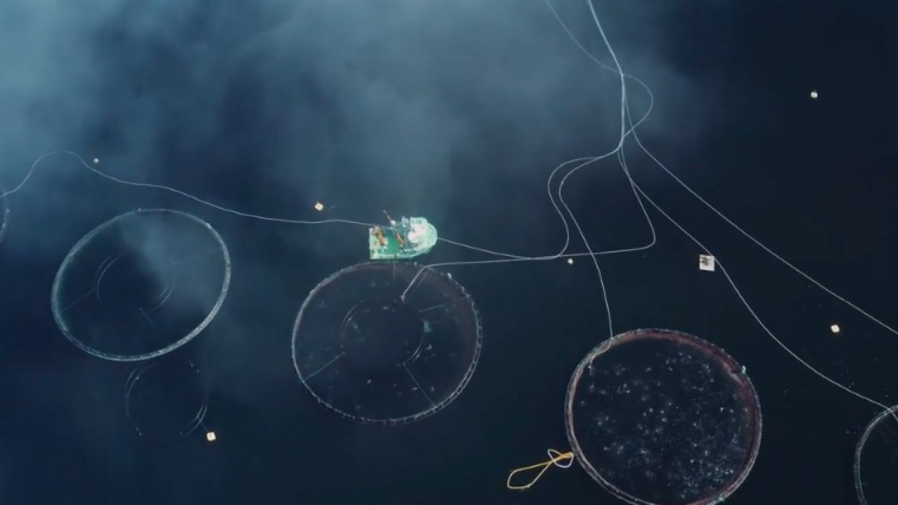 Progetto IBM nelle isole Kvarøy per un’industria ittica più sostenibile
