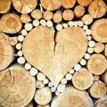 Cresce il riciclo del legno in Italia: più 7,8% e quasi 2 milioni di tonnellate