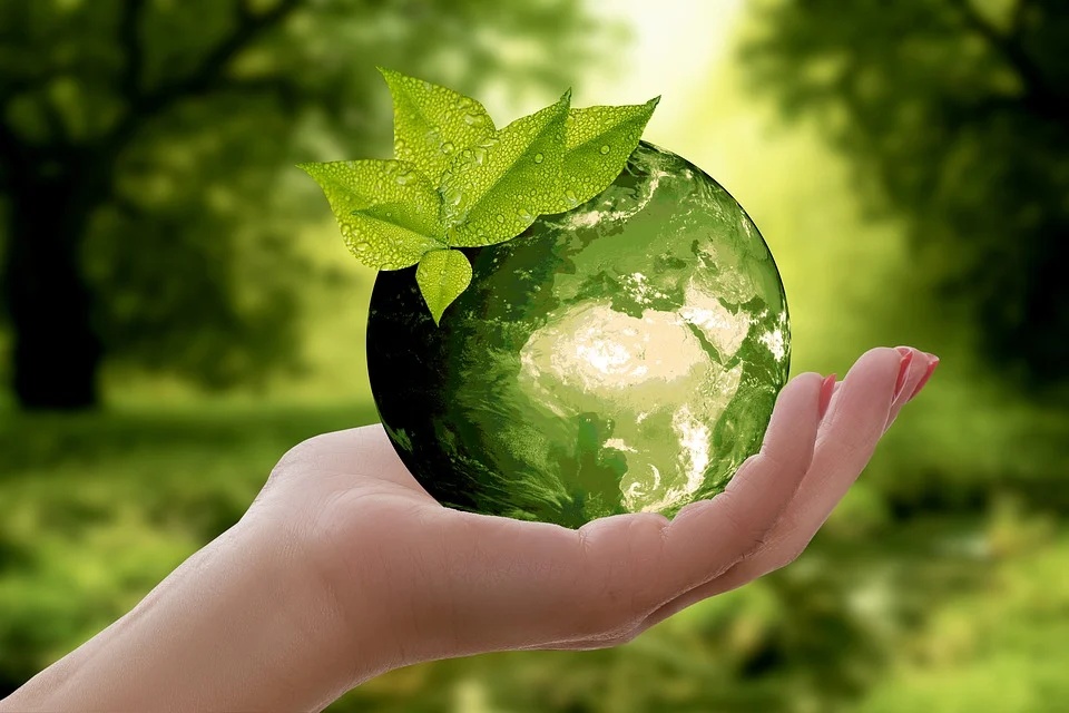 Colt Group lancia il suo primo Report sulla Sostenibilità