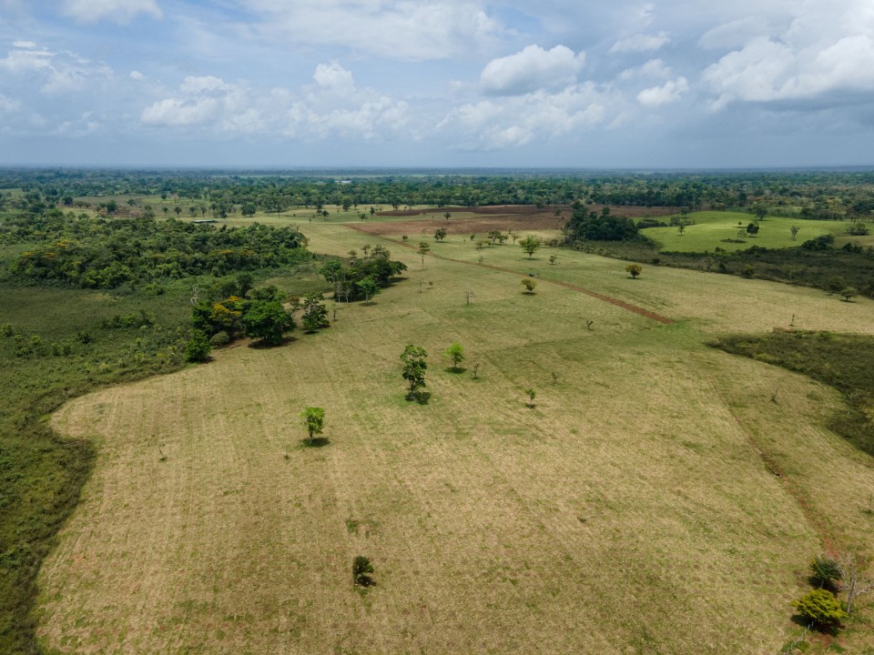 Vaillant Group lancia il suo primo progetto di riforestazione in Costa Rica