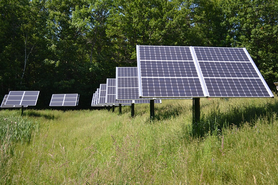 Enel Green Power: a Tarquinia la costruzione dell’impianto agrivoltaico più grande d’Italia