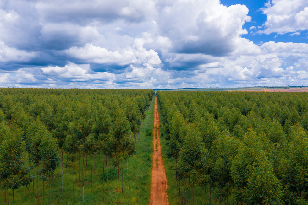 Apple amplia il Restore Fund per l’eliminazione del carbonio