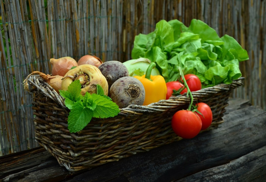 Il cibo nella transizione sostenibile: webinar grautuito lunedì 29 maggio alla CdC di Milano