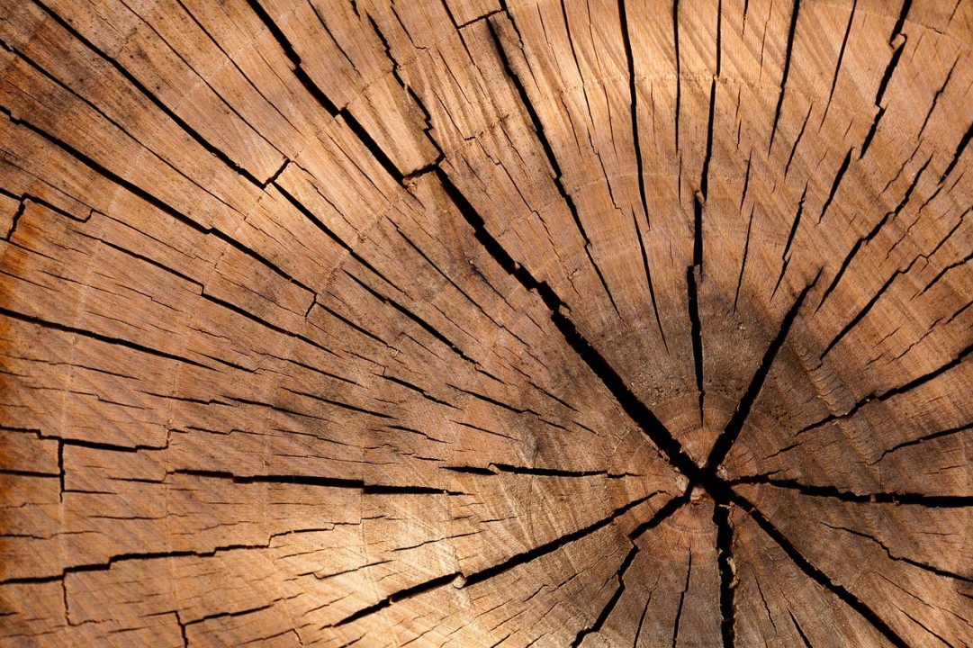 Rilegno: 1.717.000 tonnellate di legno riciclato e 903.000 tonnellate di imballaggi riutilizzati