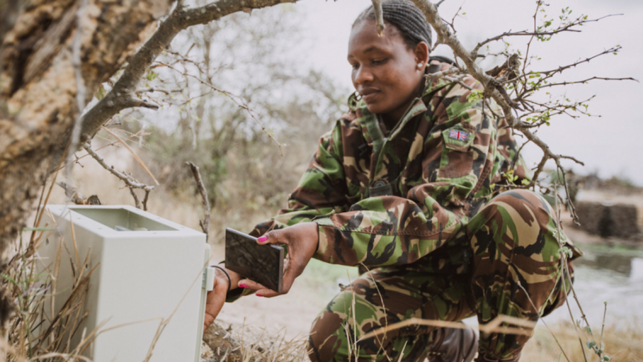 Samsung amplia l'iniziativa Wildlife Watch per ridurre bracconaggio animali nella foresta sudafricana