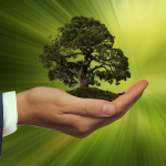 Nuove Professioni per la sostenibilità: nasce il Carbon Manager
