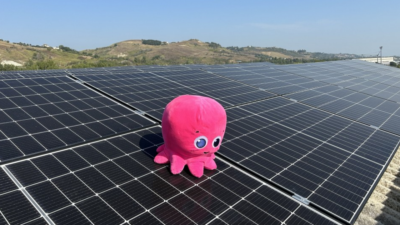 Octopus Energy lancia Solar Club, la sua prima comunità energetica rinnovabile