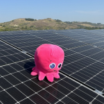 Octopus Energy lancia Solar Club, la sua prima comunità energetica rinnovabile