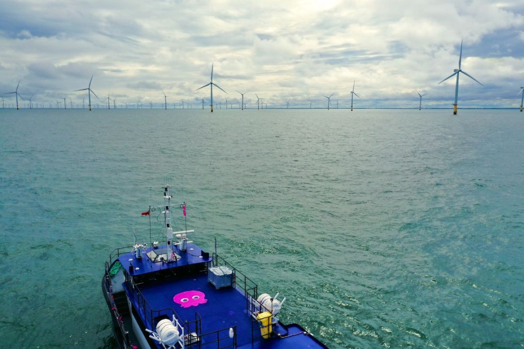 Octopus Energy lancia con Tokyo Gas un fondo da 3 miliardi di sterline per l’eolico offshore