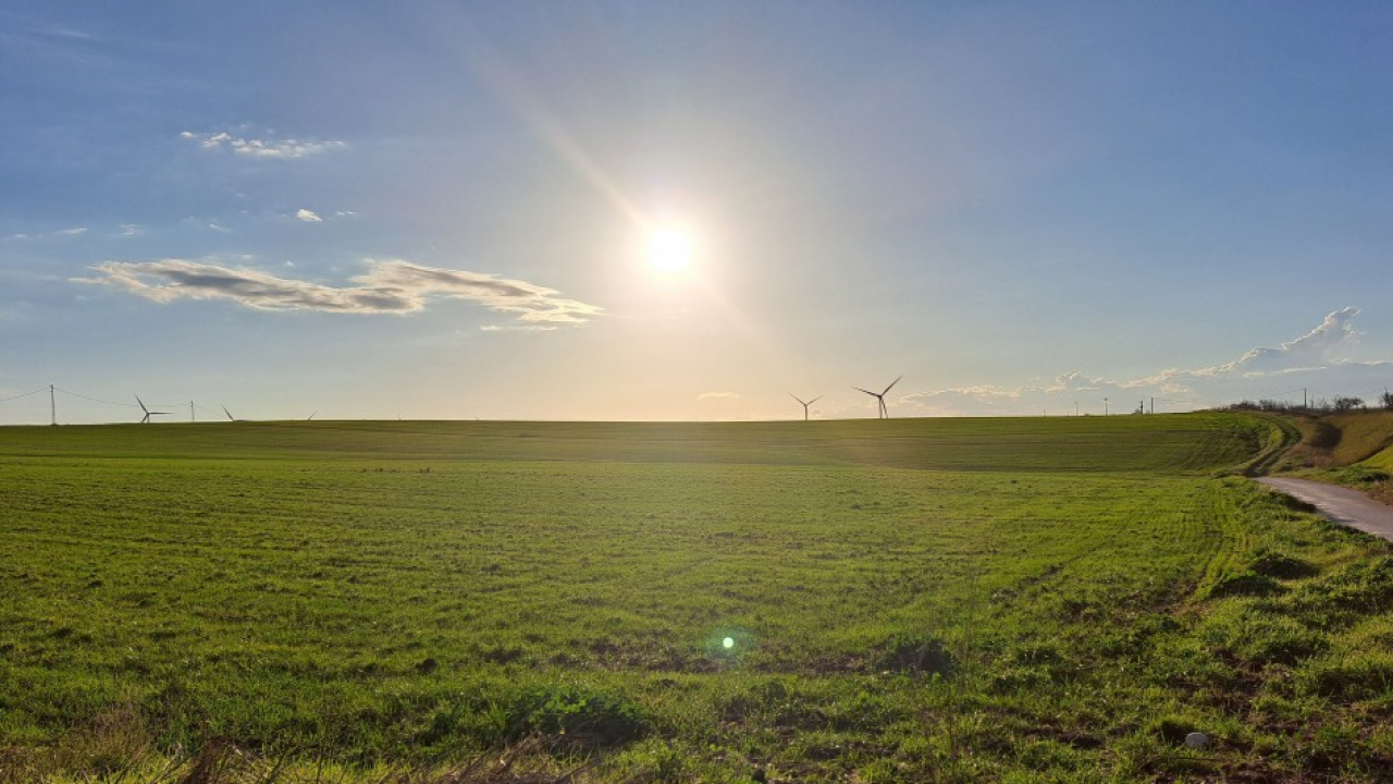 Puglia: in provincia di Foggia sorgerà un innovativo impianto agrivoltaico 