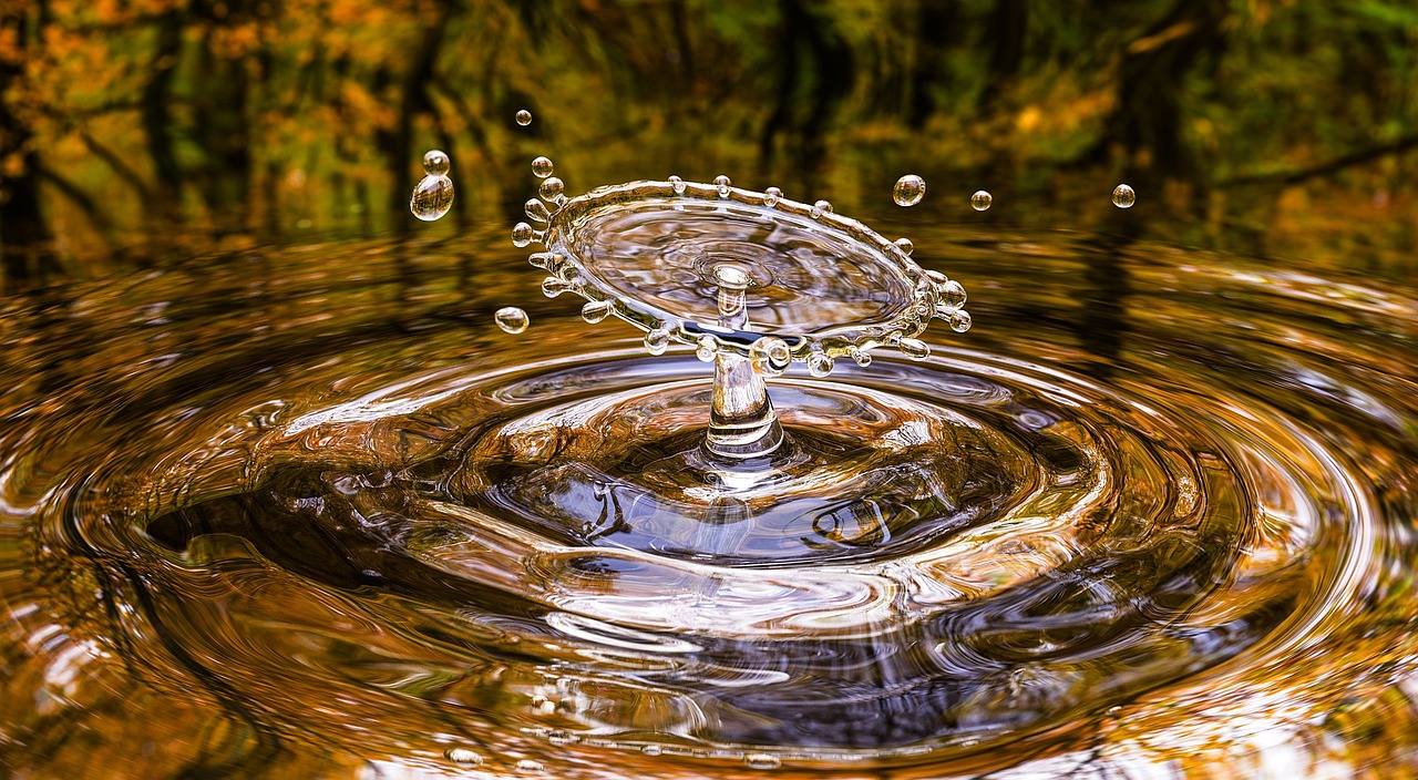 Lanciata l'iniziativa sul problema acqua dalla Fondazione per la Sostenibilità Digitale