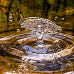 Lanciata l'iniziativa sul problema acqua dalla Fondazione per la Sostenibilità Digitale