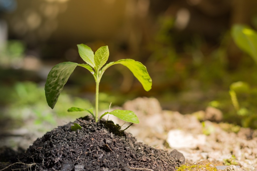 Ambienta investe in Officine Maccaferri, società leader nelle soluzioni di ingegneria ambientale