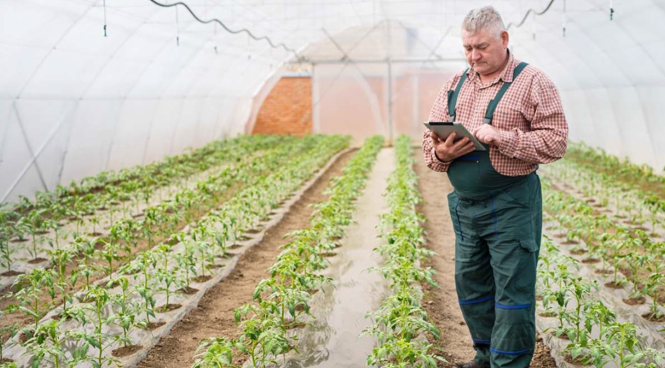 Coltivare il futuro dell'agricoltura con il Wi-Fi 6