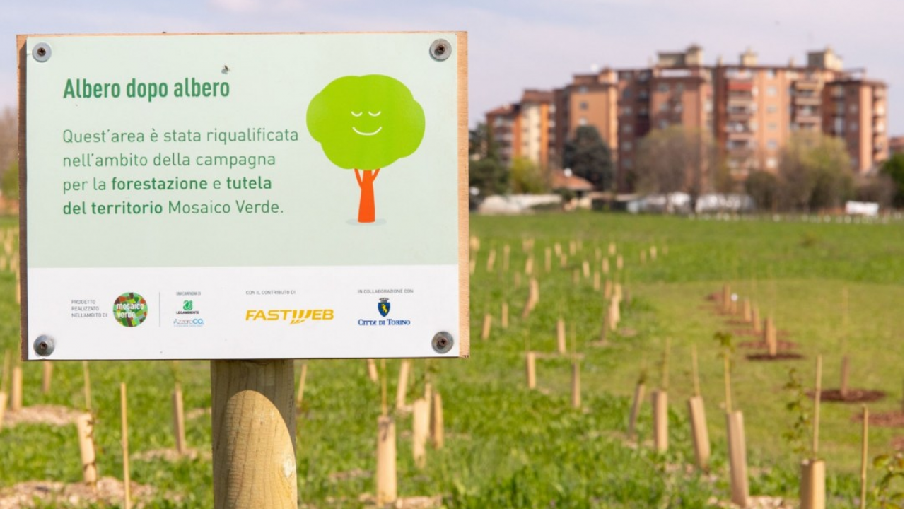 Fastweb: mille nuove piante a Parco Piemonte di Torino