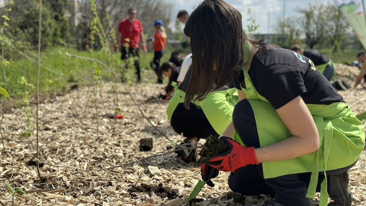 Foreste urbane: agenzia Press Play pianta 100 alberi a Nova Milanese per tutela biodiversità locale