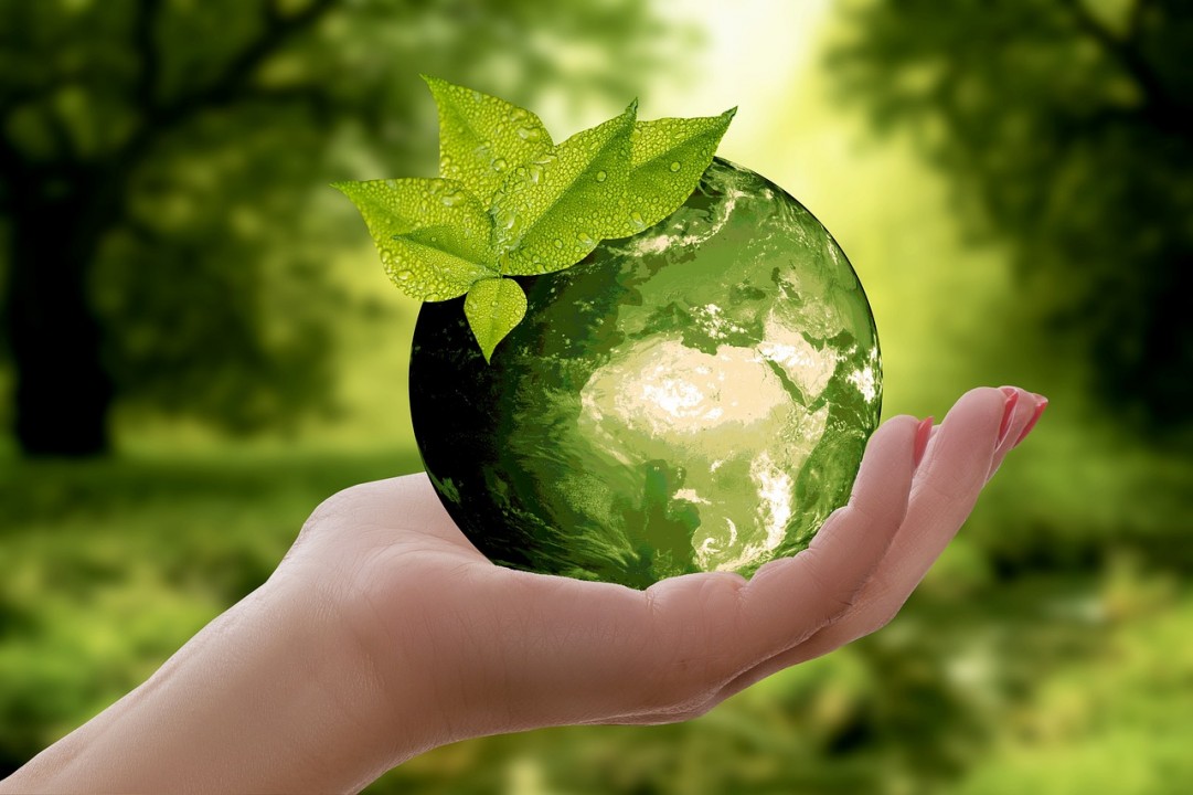Aziende e Sostenibilità Sociale: i risultati del Social Sustainability Monitor di SDA Bocconi e F2A