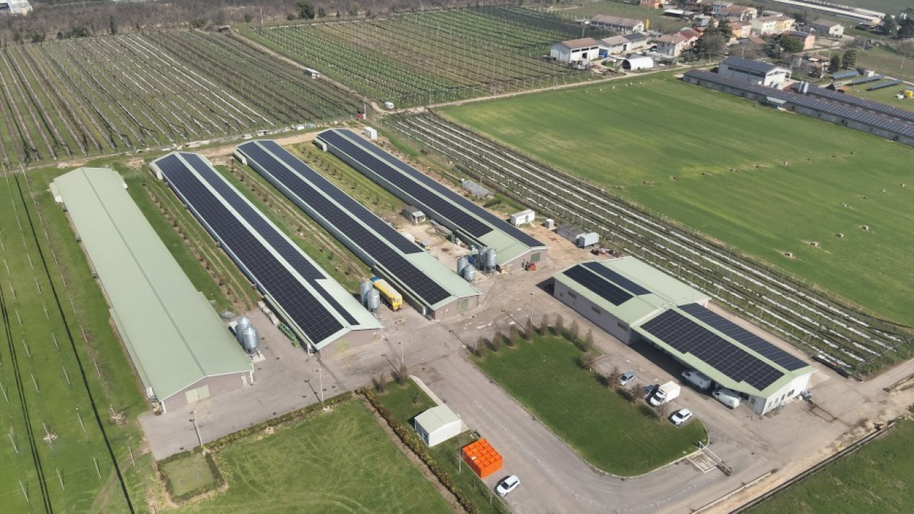 CUBI: inaugurato impianto fotovoltaico da 1 MWp presso azienda agricola Veronese