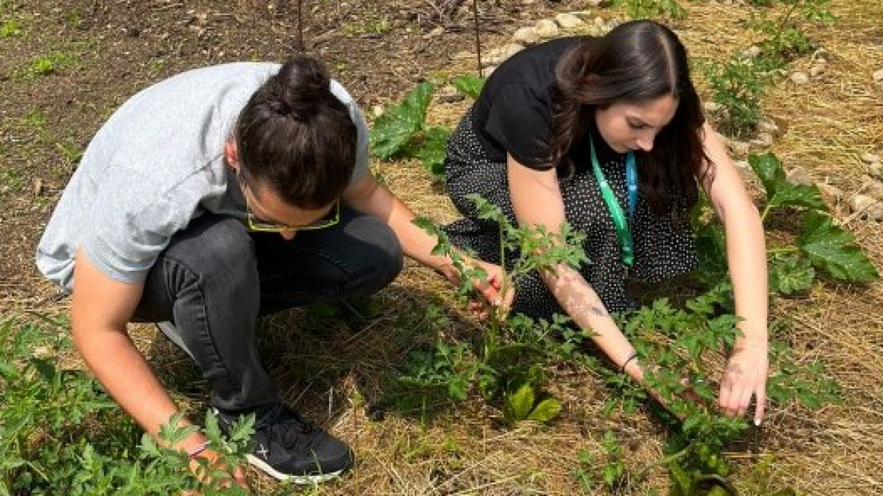 Elmec celebra la Settimana della Sostenibilità, tra ambiente, benessere e impegno sociale