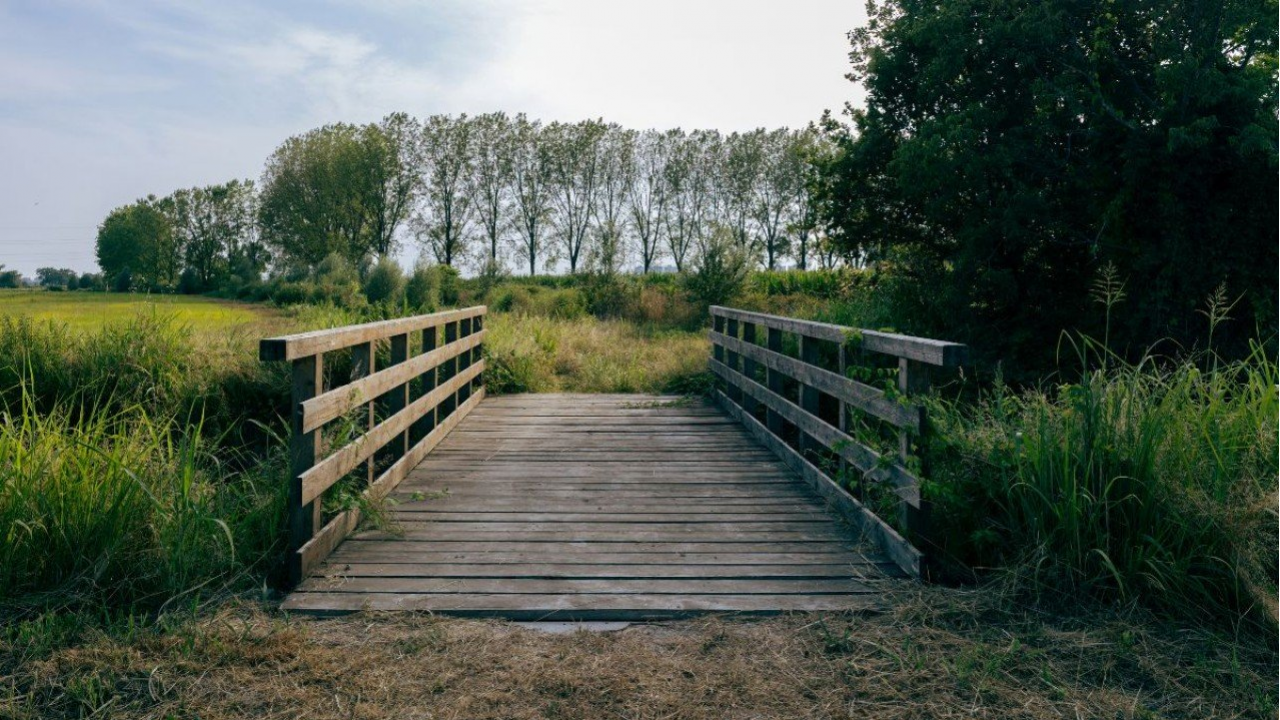 Oasi Ca’ Granda: un dono verde per Milano dove la natura torna a crescere in città