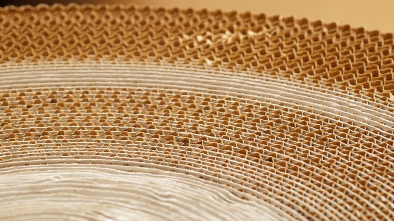 Packaging: quasi 1 italiano su 2 abbandona i brand con confezioni non sostenibili