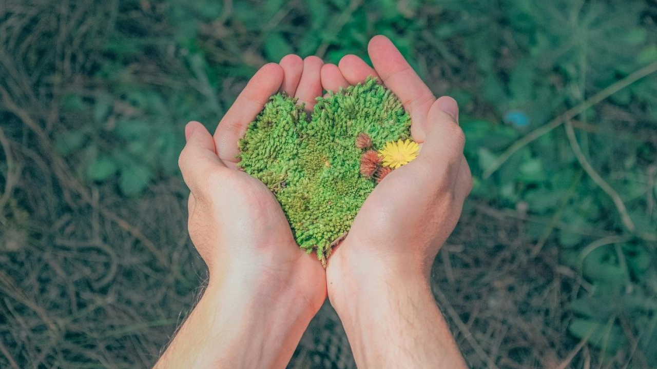 Torna EcoSanFra, il festival dedicato alla sostenibilità che si ispira al Cantico delle Creature di San Francesco