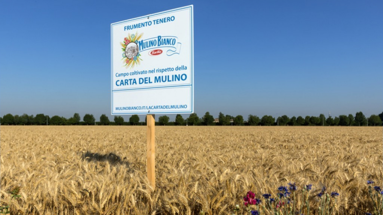 Mulino Bianco porta l’agricoltura rigenerativa sulle tavole italiane con il nuovo Buongrano