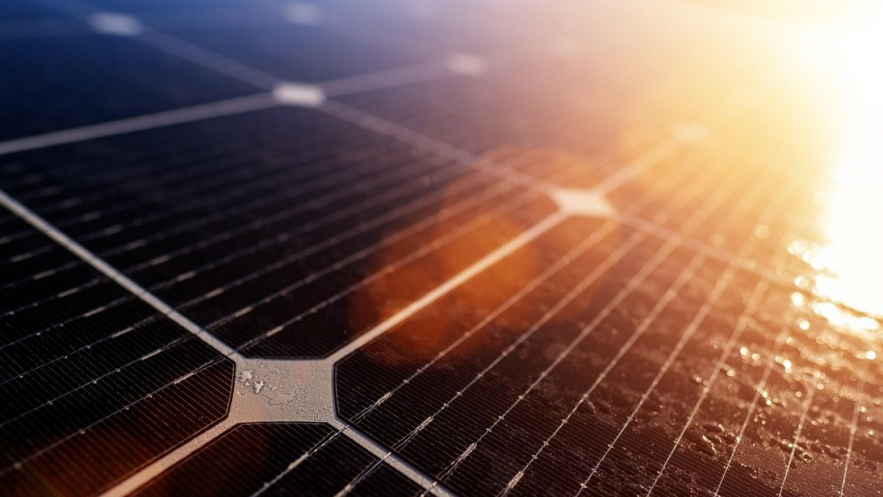 Palomar ed EnergRed: oltre 686.000 kWh di energia auto-consumata e 118 tonnellate di CO₂ evitate