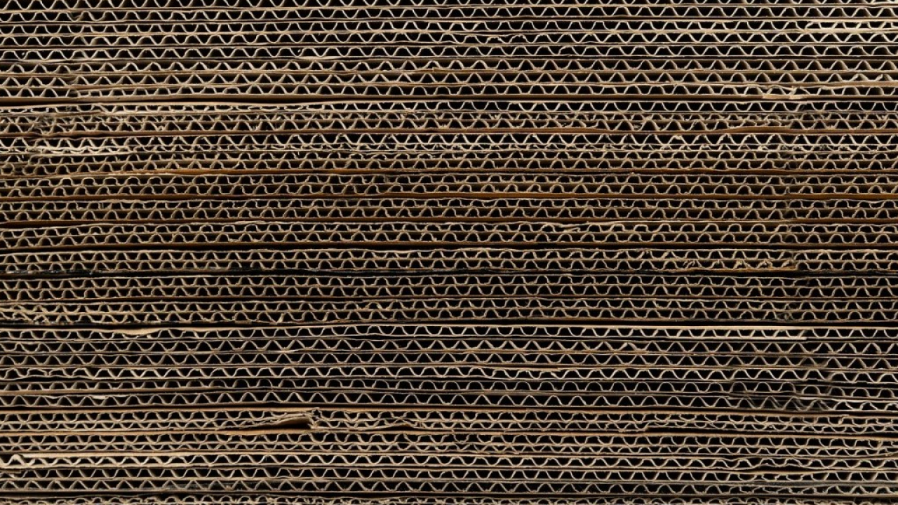 Paper Week 2026: Parma “capitale del riciclo della carta”