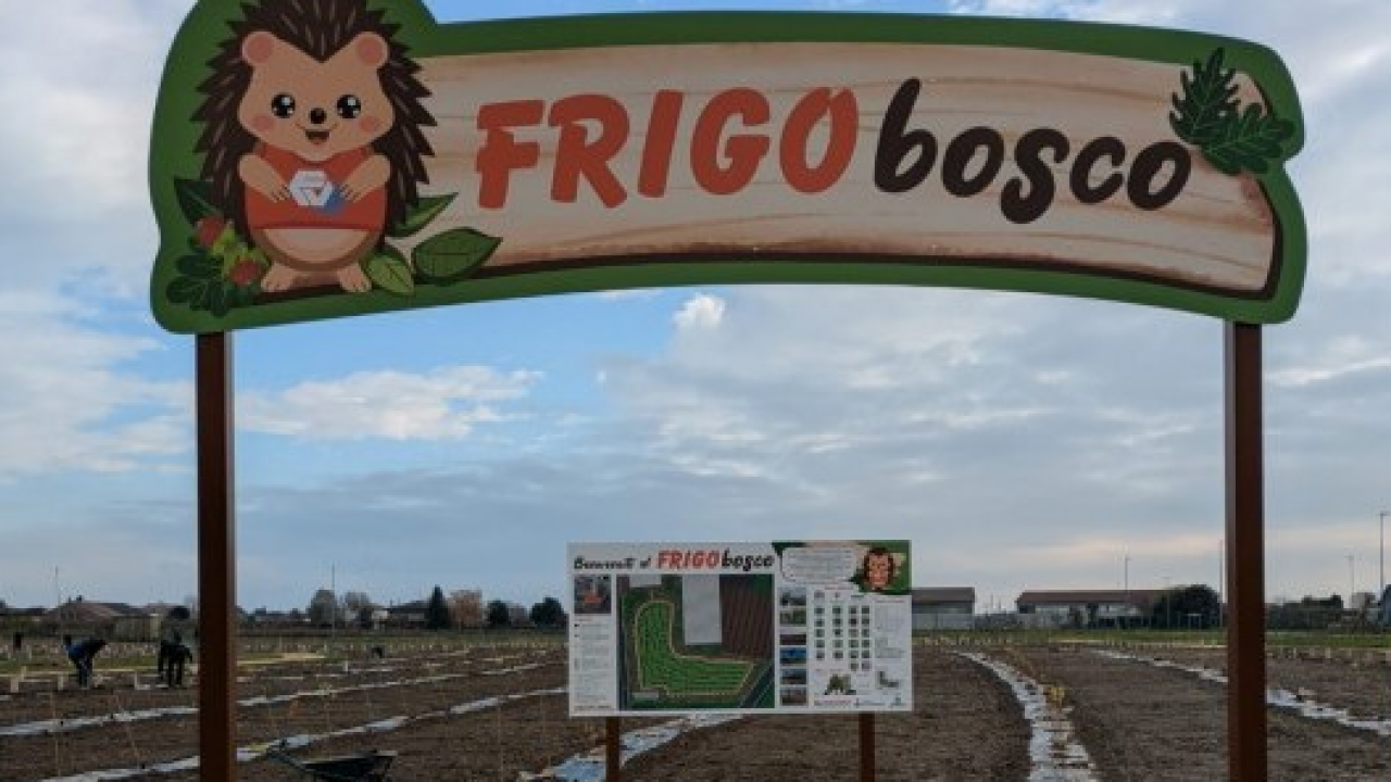 Frigoveneta pianta il suo bosco: nasce Frigobosco, il progetto ESG che porta la natura nell’industria