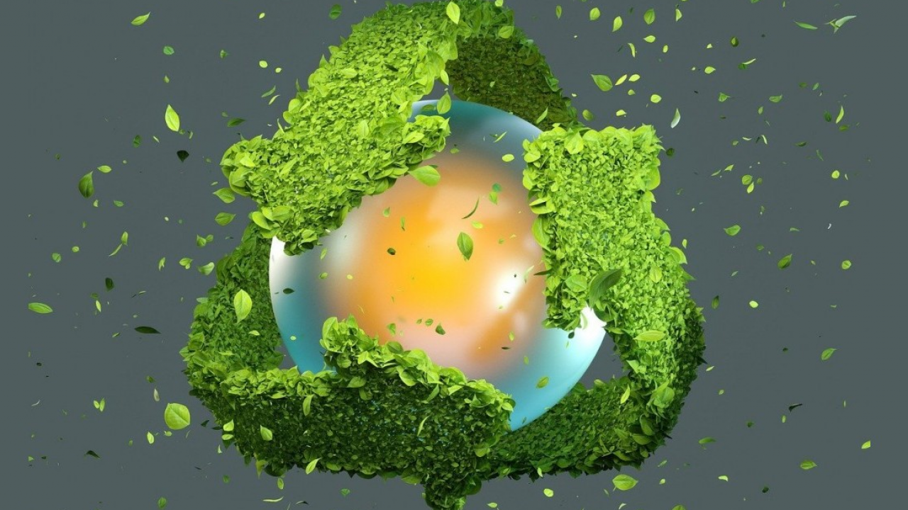 Report di Sostenibilità 2024: Rovagnati prosegue la sua crescita sostenibile