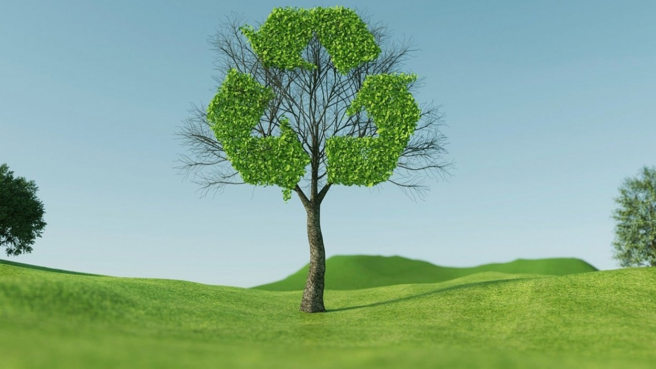 Auchan adotta lo Smart Green Pallet di IBM: una tecnologia smart e sostenibile per la supply chain