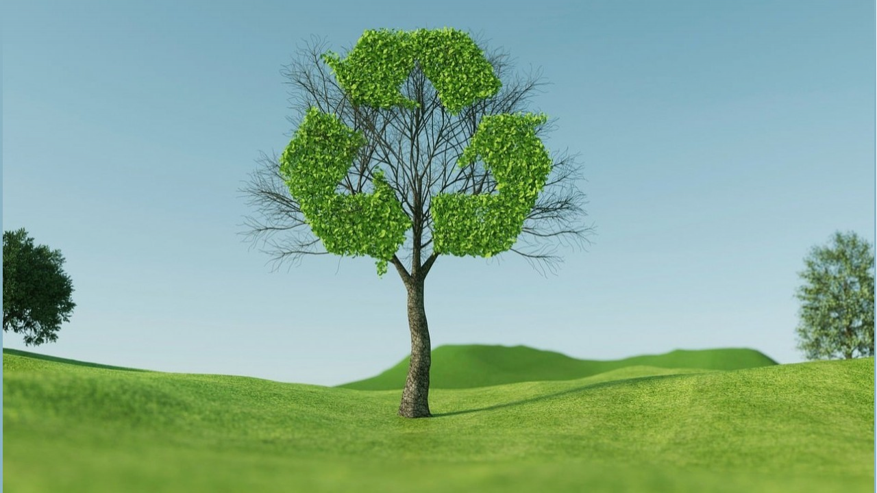 Il sistema CONAI genera un volume d'affari di 3,8 miliardi di euro e sostiene oltre 24 mila posti lavoro  