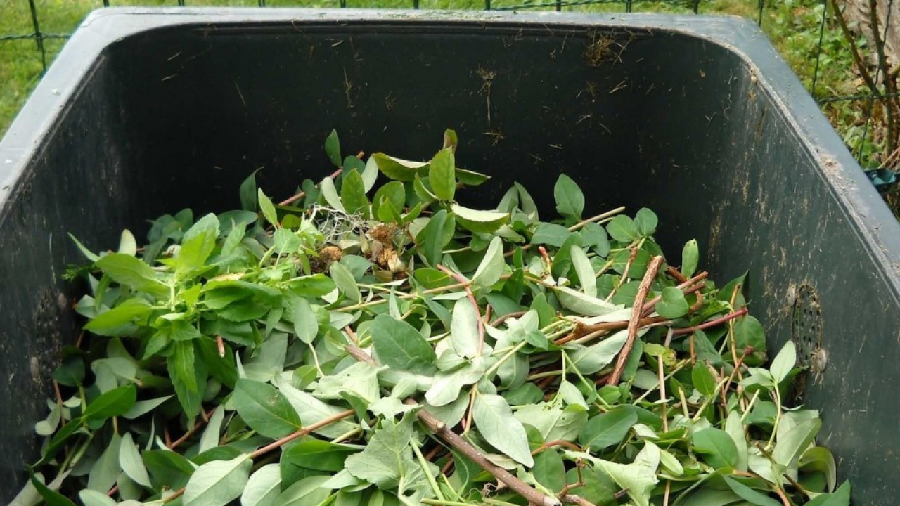 Rifiuti urbani: il CIC presenta il nuovo position paper sull’efficienza del riciclo dei rifiuti organici