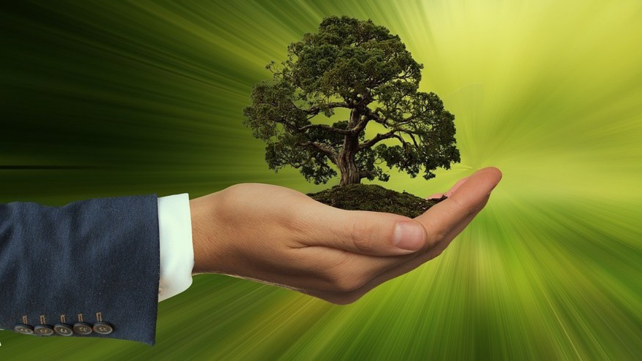 Imprese e ambiente: nel 2025 cresce l’attenzione alla biodiversità