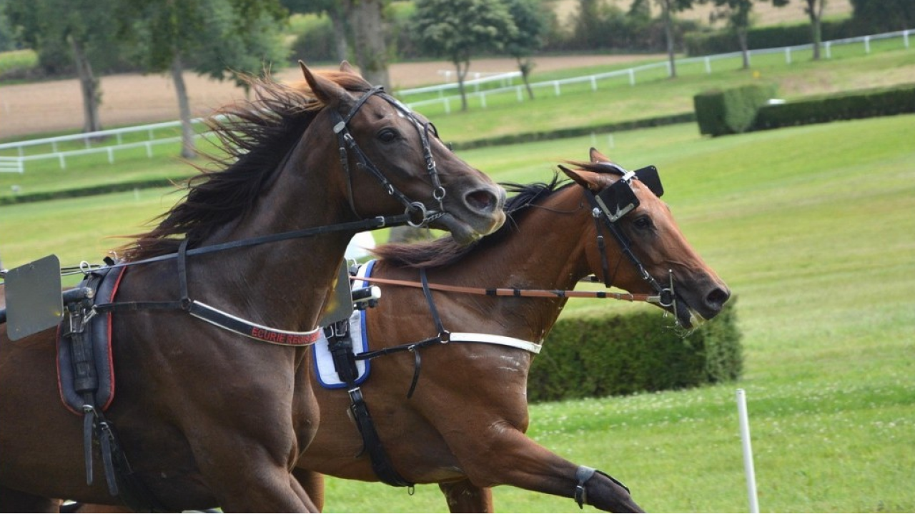 Il CIC e il Ministero dell'Agricoltura stringono un accordo per il riciclo dei rifiuti del settore ippico