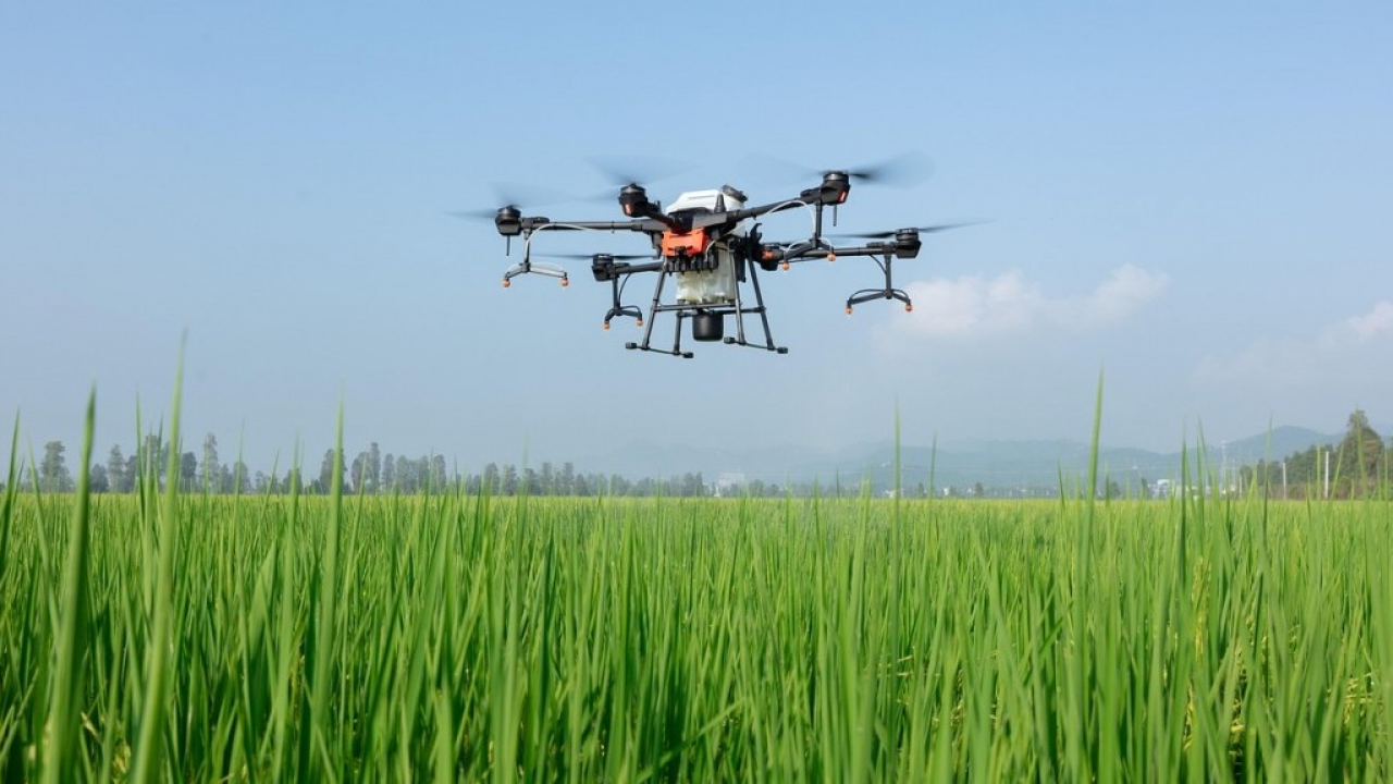 Dronitaly 2026: due convegni ISPRA sull’impiego dei droni per il monitoraggio ambientale