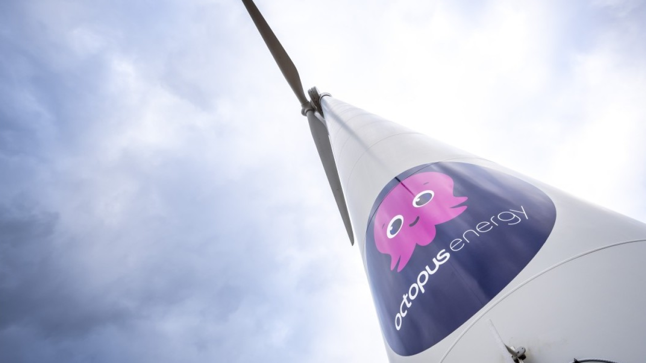 Octopus Energy , una joint venture con PCG Power per rivoluzionare il mercato dell’energia pulita in Cina
