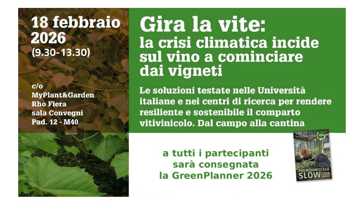 Convegno a Milano su come la crisi climatica incide sul vino a cominciare dai vigneti