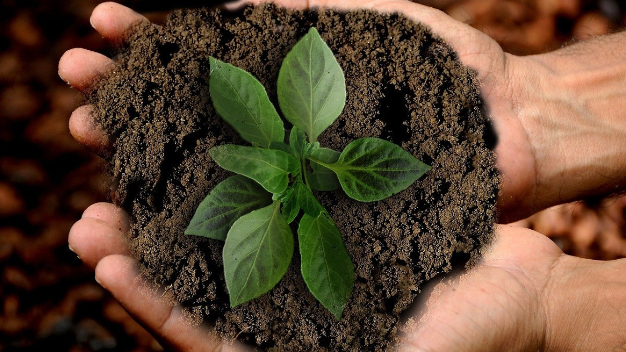 PoliMi: l’81% delle start-up europee agisce sulle pratiche responsabili, ma solo il 28% ne misura l’impatto